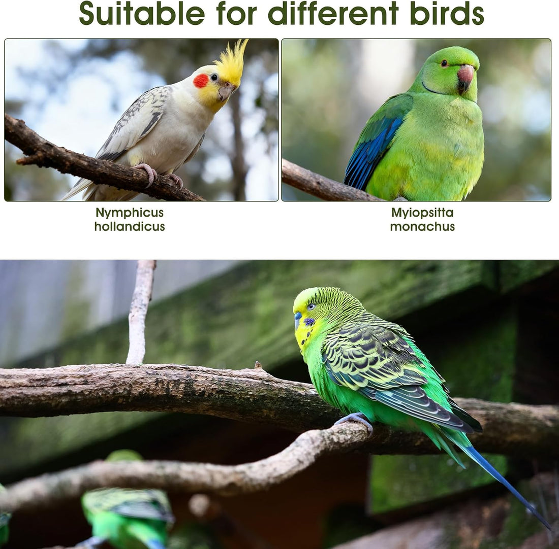 HJZHII 4 Pcs Bird Diaper, Parrot Diapers with Waterproof Inner