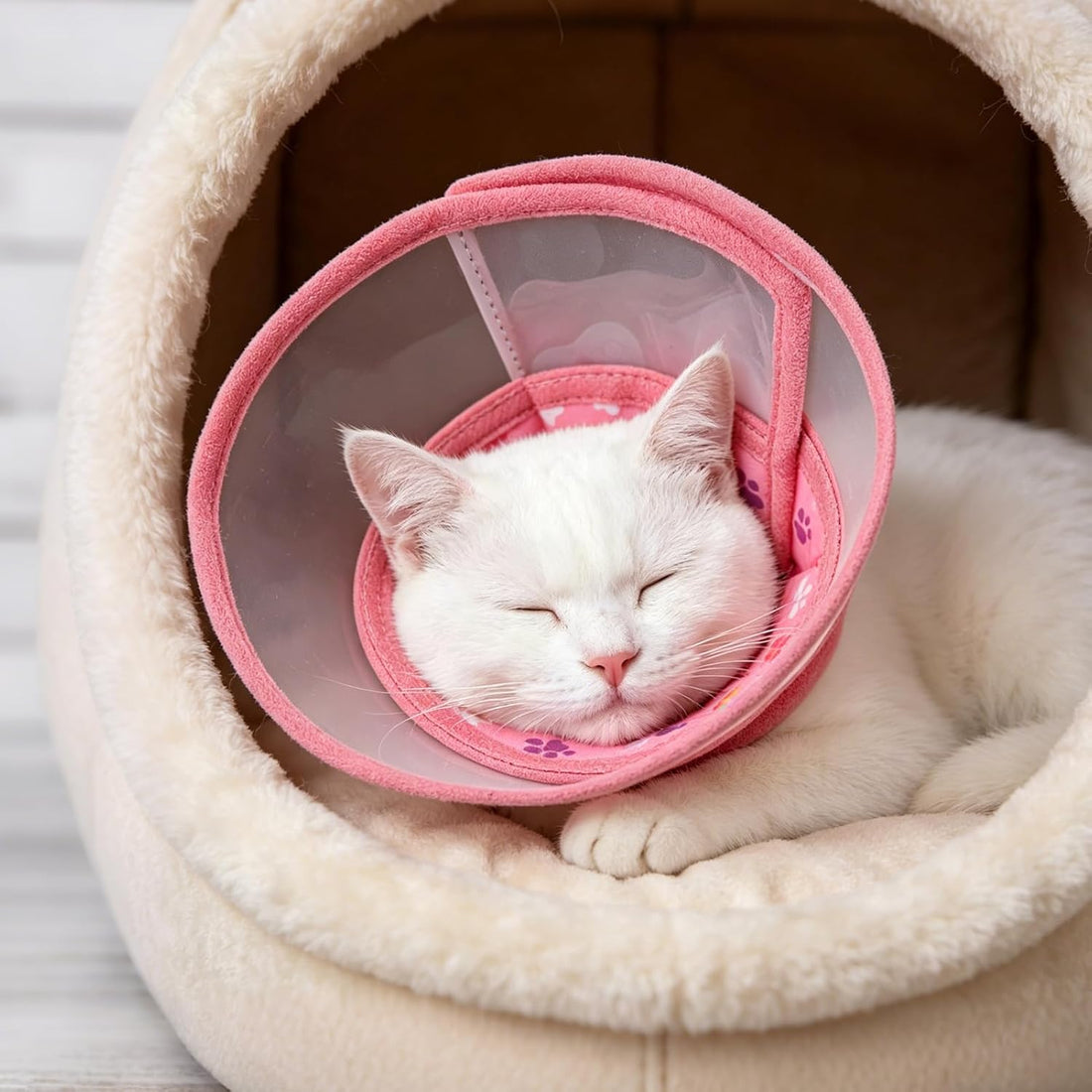 PUPTECK Cat Cone Collar Soft for Neck