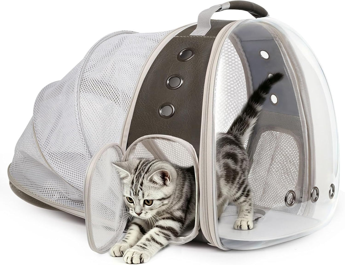 Back Extension Cat Travel Carrier Backpack