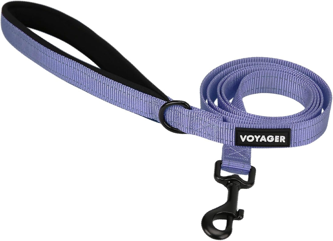 Best Pet Supplies Voyager Dog Collar Safety Clip with Dual Clasps