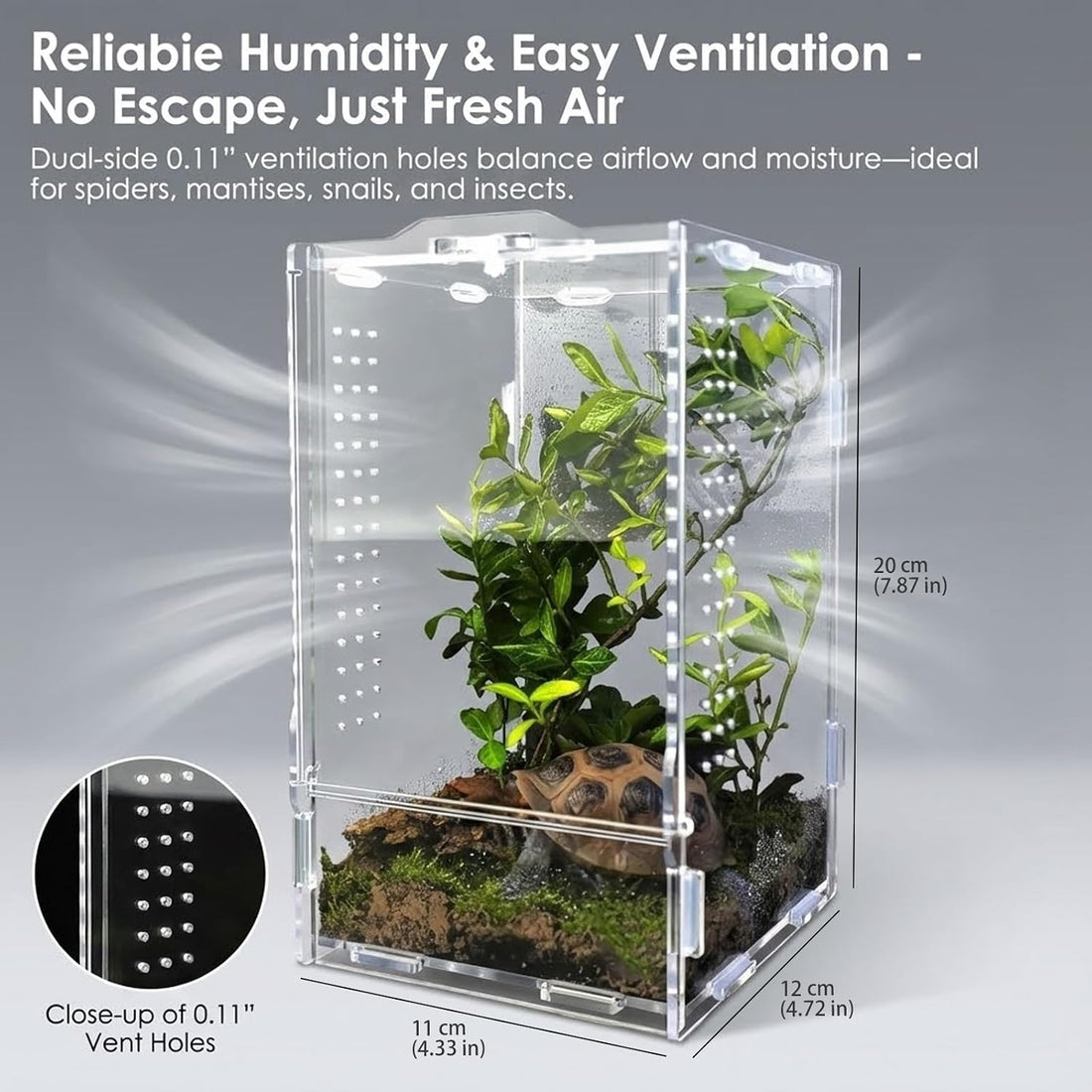 Acrylic Jumping Spider Enclosure: Arboreal Tarantula Enclosure