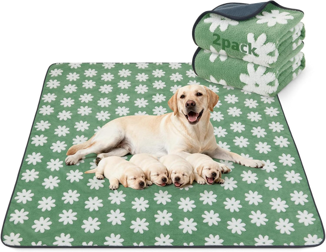 LOOBANI Washable Pee Pads for Dogs, Potty Training, 36"x24", 2-Pack