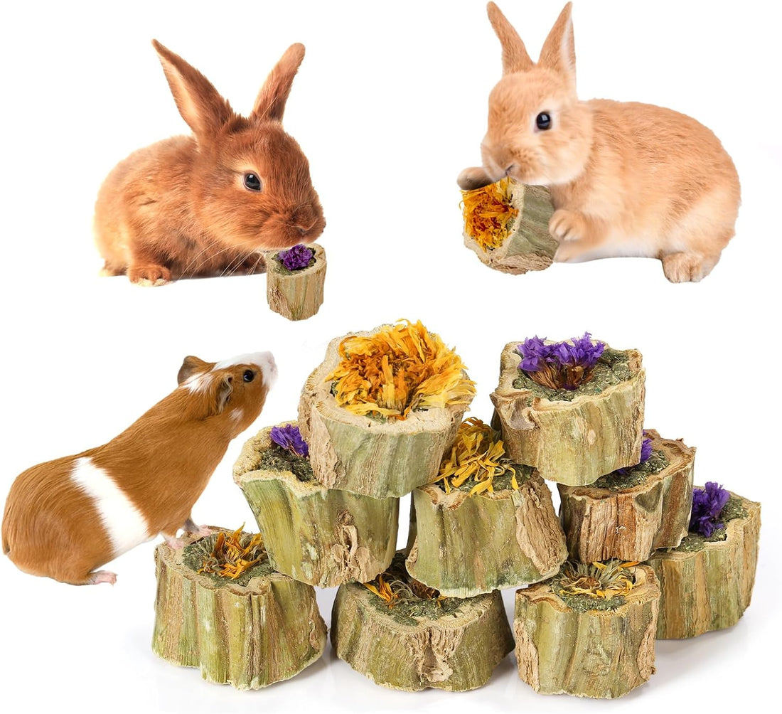 Abizoo Rabbit Chew Toys for Bunny Natural Papaya Wood Chew Treats