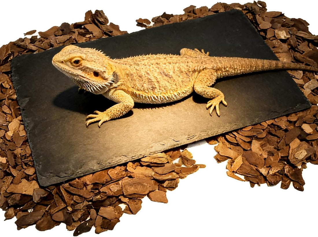 Bearded Dragon Basking Platform Rock Slate with Bark Substrate,M