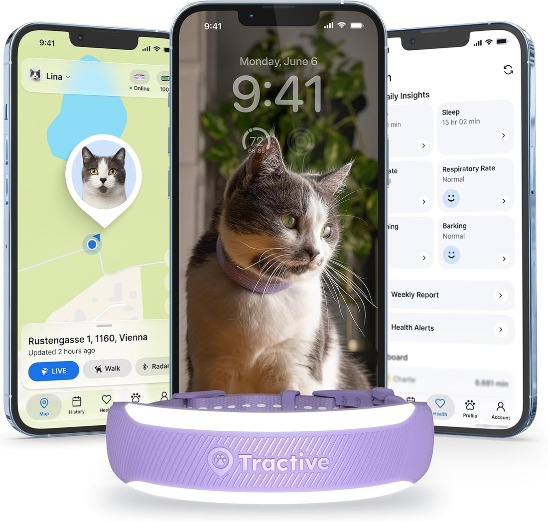 Tractive Smart Cat GPS Tracker Collar