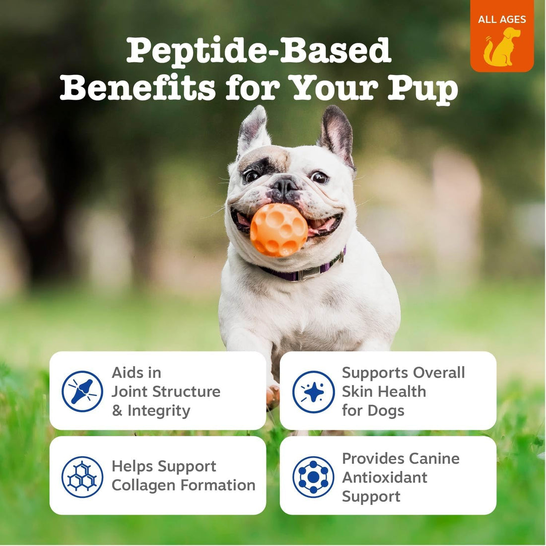 Zesty Paws Multi Collagen Soft Chews for Dogs - for Hip