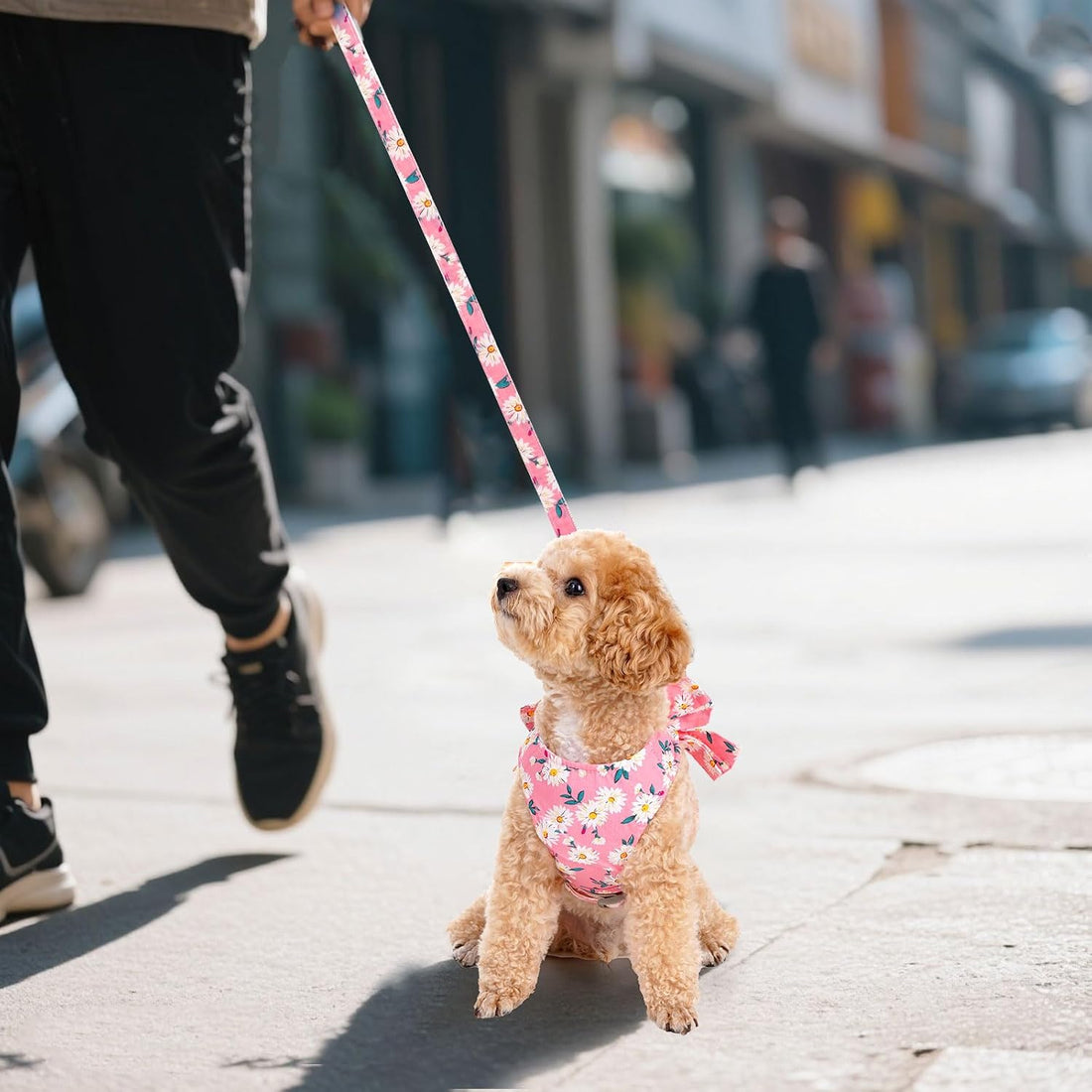 Dog Harness and Leash Set Adjustable Puppy Harness Mesh Vest Set Bow