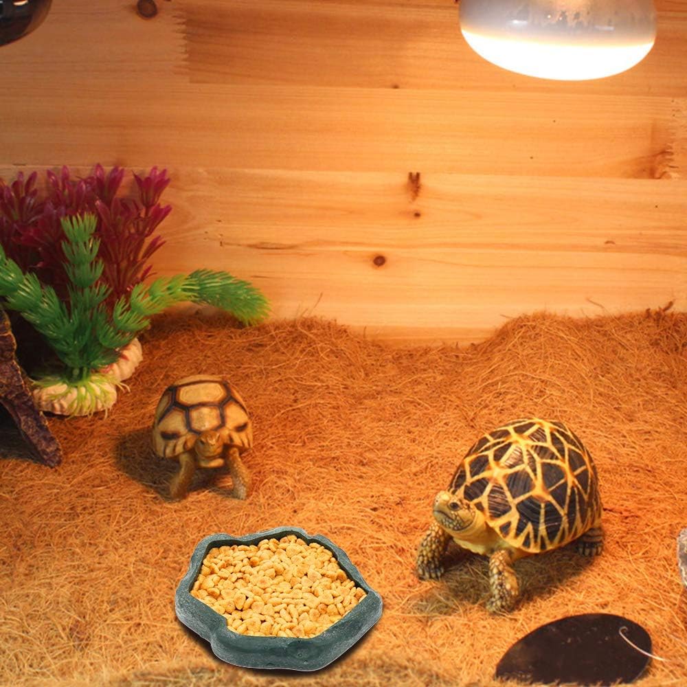 SLSON Small Reptile Feeder Terraium Bowl Plastic Shallow Reptile