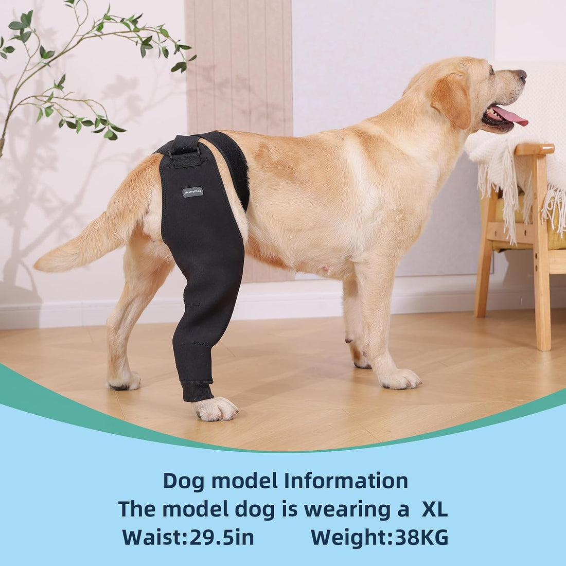 Single Dog Rear Leg Sleeve to Stop Licking