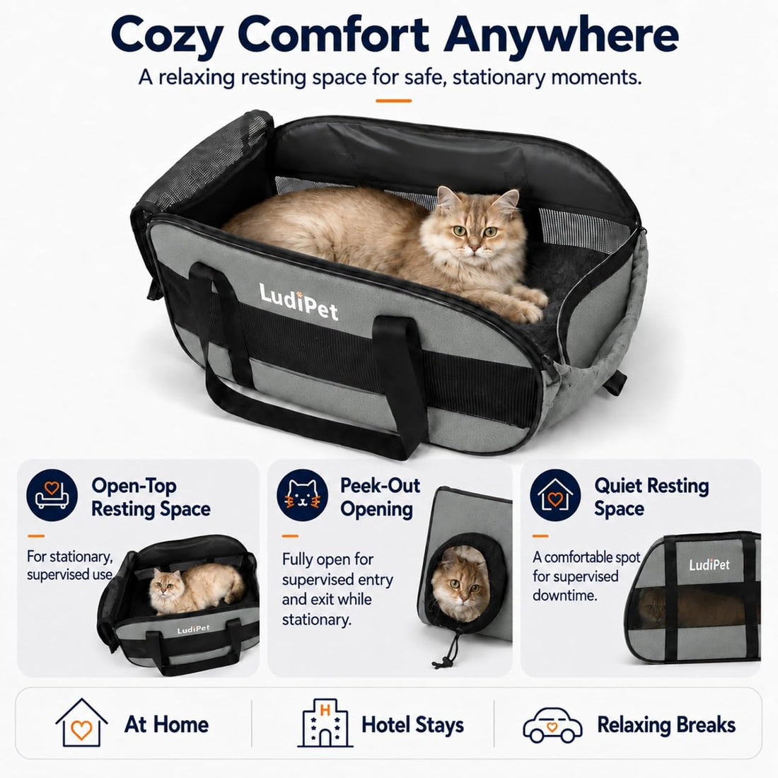 Airline-Friendly Pet Carrier for Cats and Small Dogs