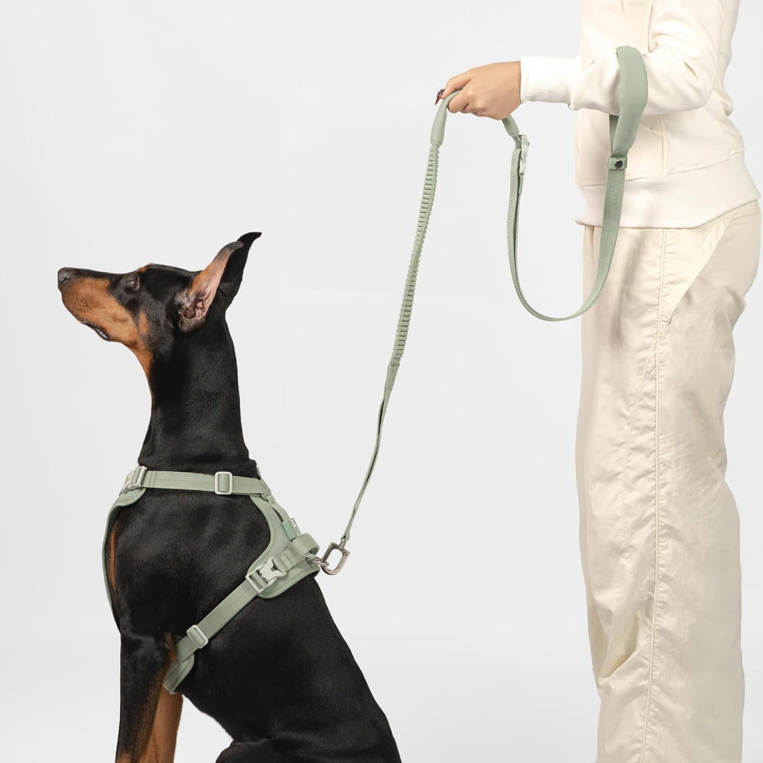 Hands Free Dog Leash Adjustable Versatile Crossbody Waist, Black