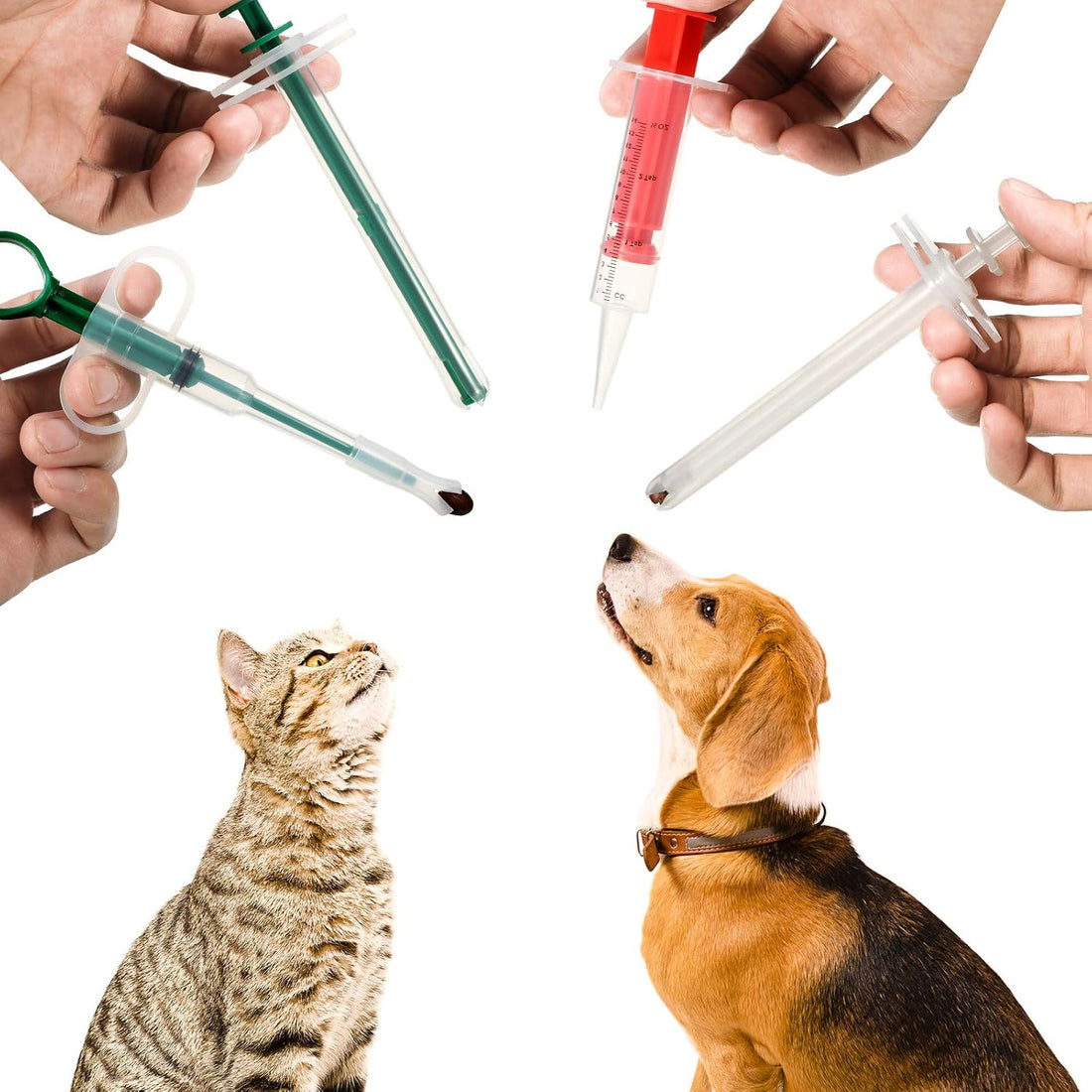 Patelai 4 Pcs Pill Shooter Pet Medicine Feeder