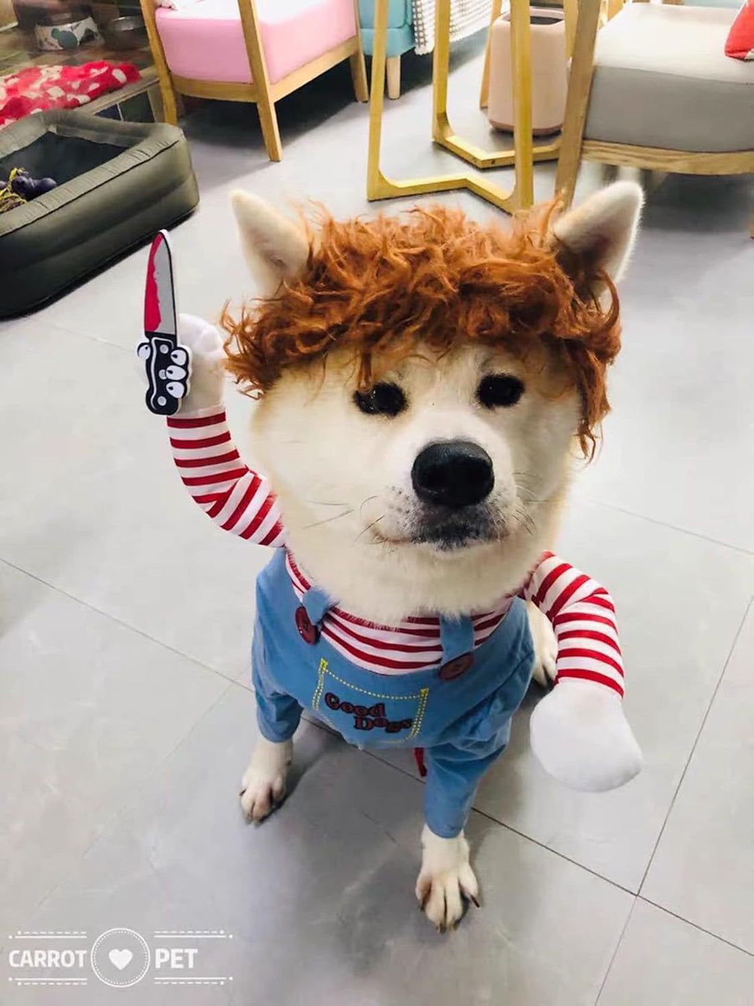 Pet Deadly Doll Dog Costume, Cosplay Halloween Christmas Funny