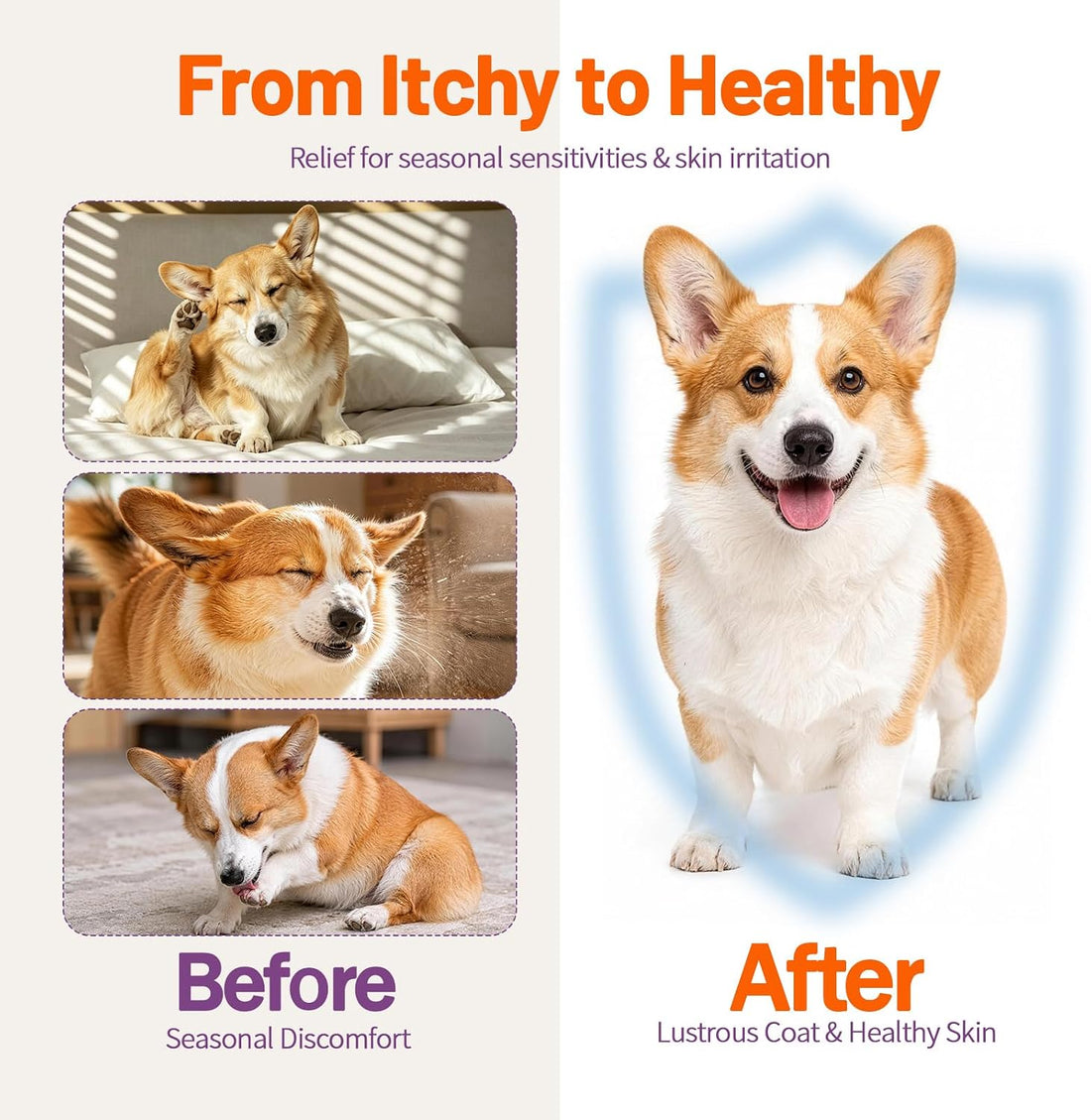 Quercetin Drops for Dogs & Cats, Allergy & Itch Relief, 2 fl oz