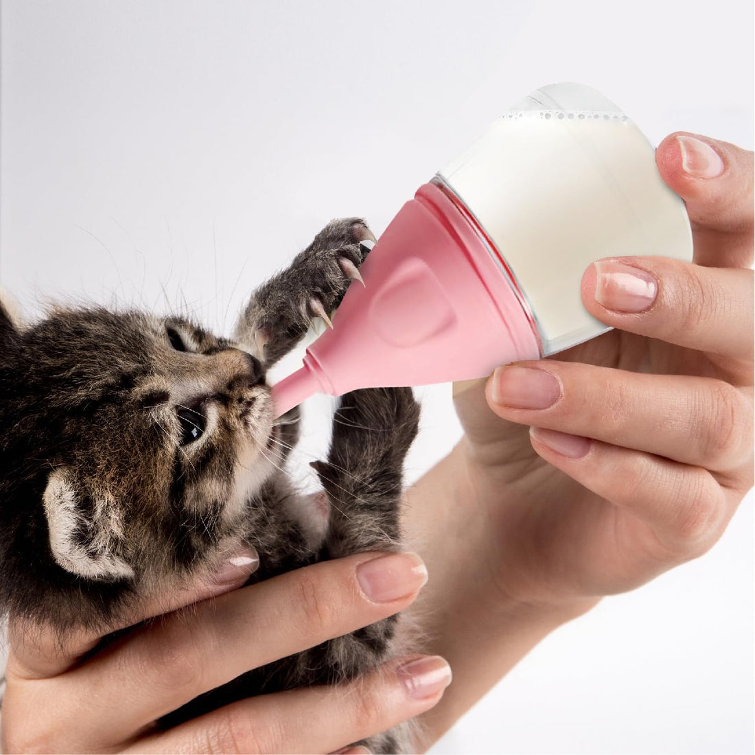 RockTech Ergonomic Kitten Bottle Feeding kit