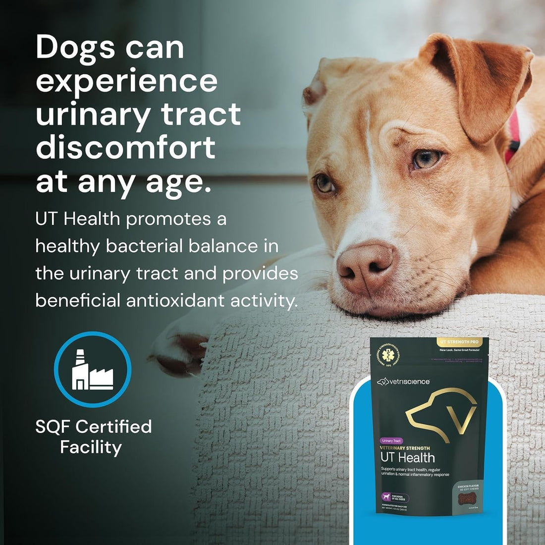 Vetriscinece Veterinary Strength UT Health Chews