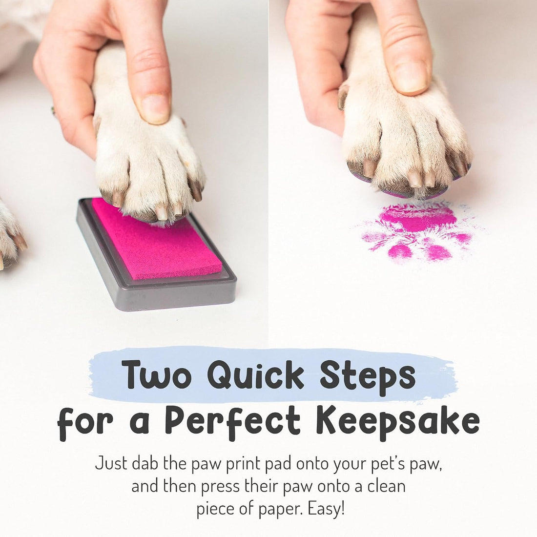 Pet Paw Print Impression Kit | Dog Ink Paw Print Kit