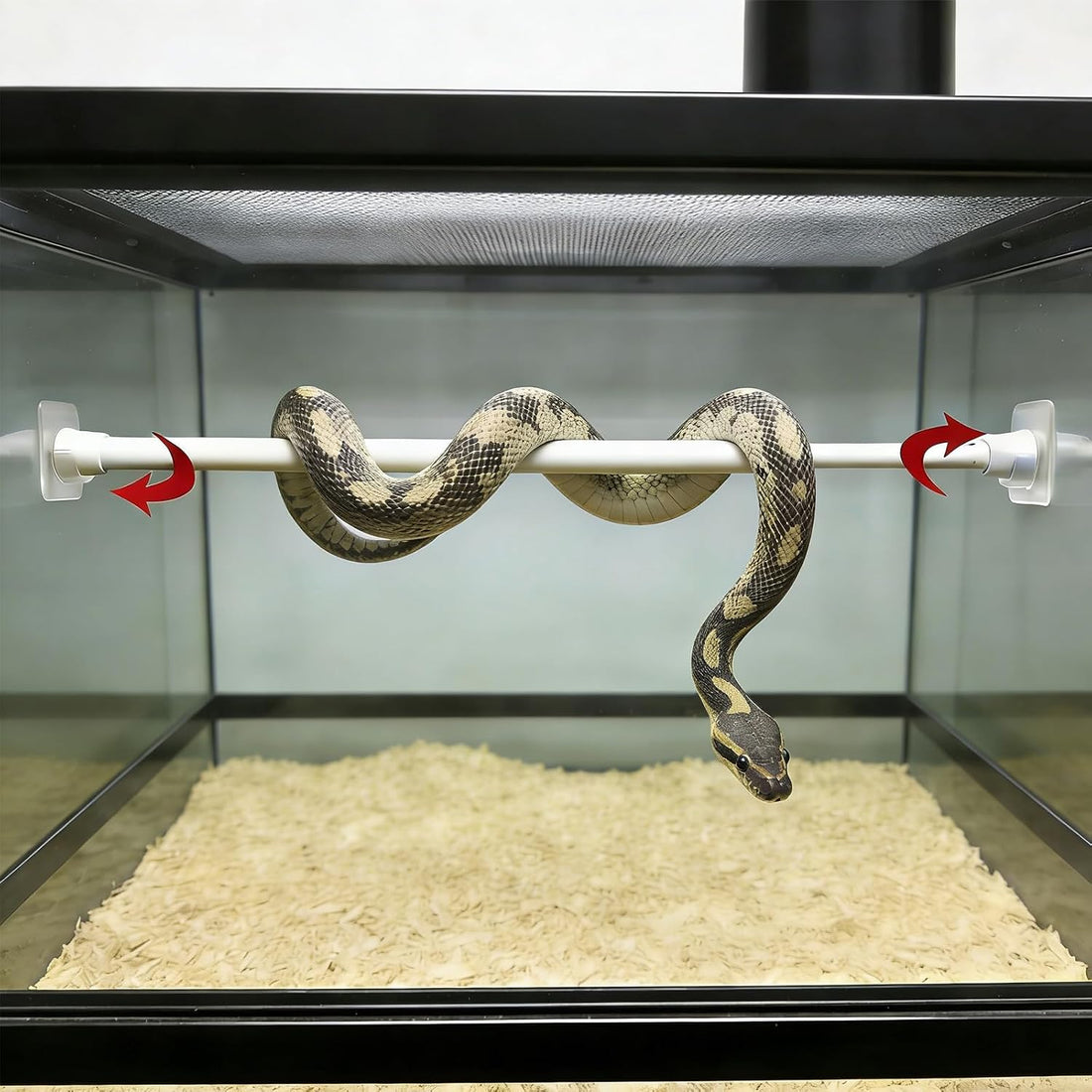 6 Pcs Terrarium Snake Branches