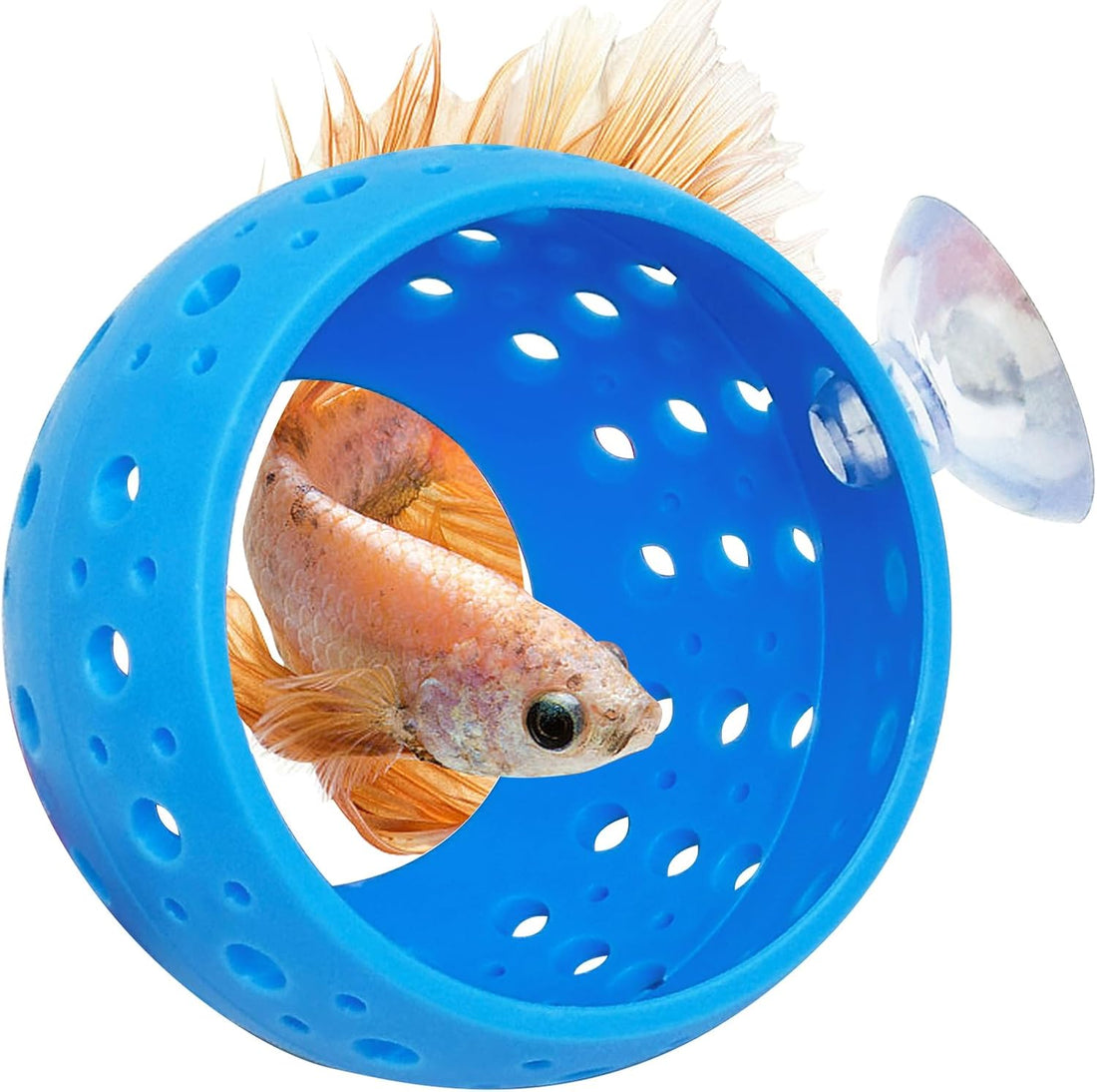 Fhiny Betta Tunnel, Aquarium Betta Fish Hideout with Suction Cup Fish