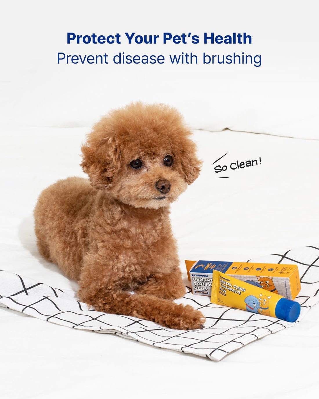 PETHROOM Dental Clean Toothpaste Plus for Dogs & Cats