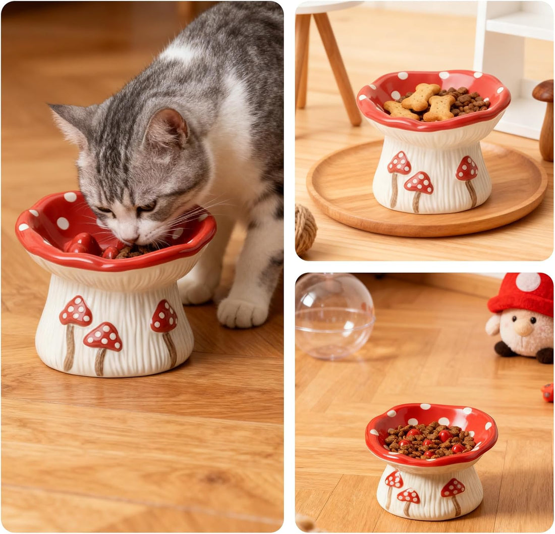 Cat Slow Feeder Bowl, Ceramic Slow Feeder Cat Bowls