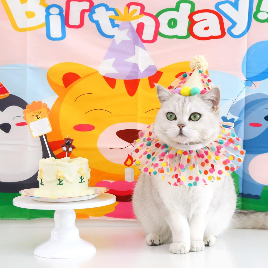Cat Dog Princess Costumes Puppy Cat Birthday Bandana Scarf and Party