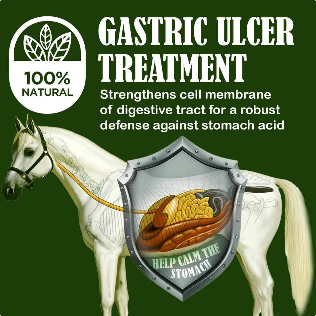 SBS Equine Starting Gate Granules