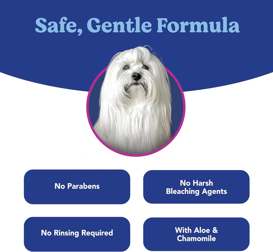 Angels' Eyes Tear Stain Remover Solution for Dogs, 8 fl oz