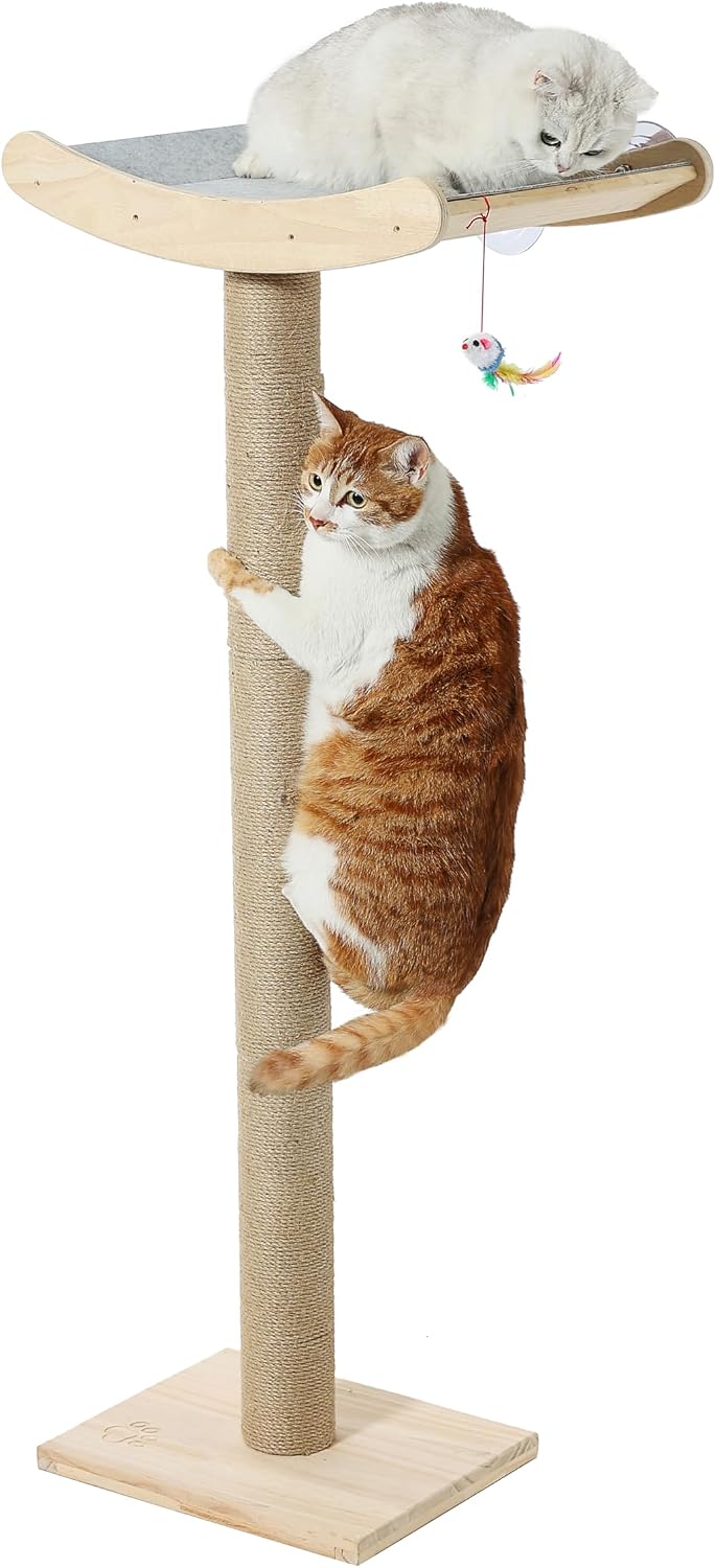 Cat Scratching Post with Large Window Perch