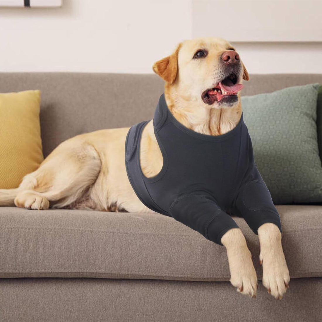 IDOMIK Dog Recovery Suit for Front Legs,Dog Recovery Sleeve Elbow