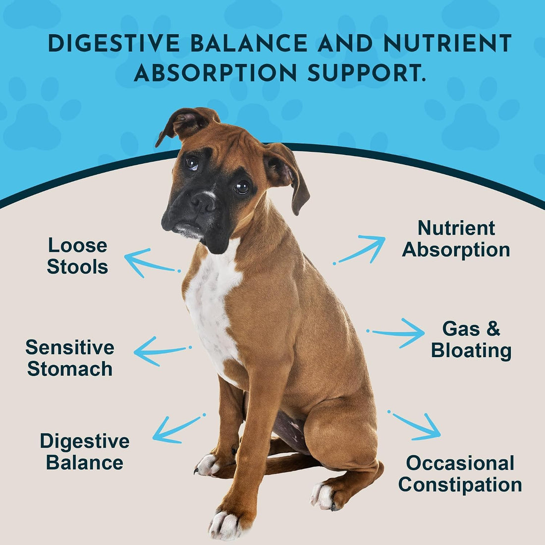 Animal Essentials Plant Enzyme & Probiotics, Plant Based - 10.6 Oz