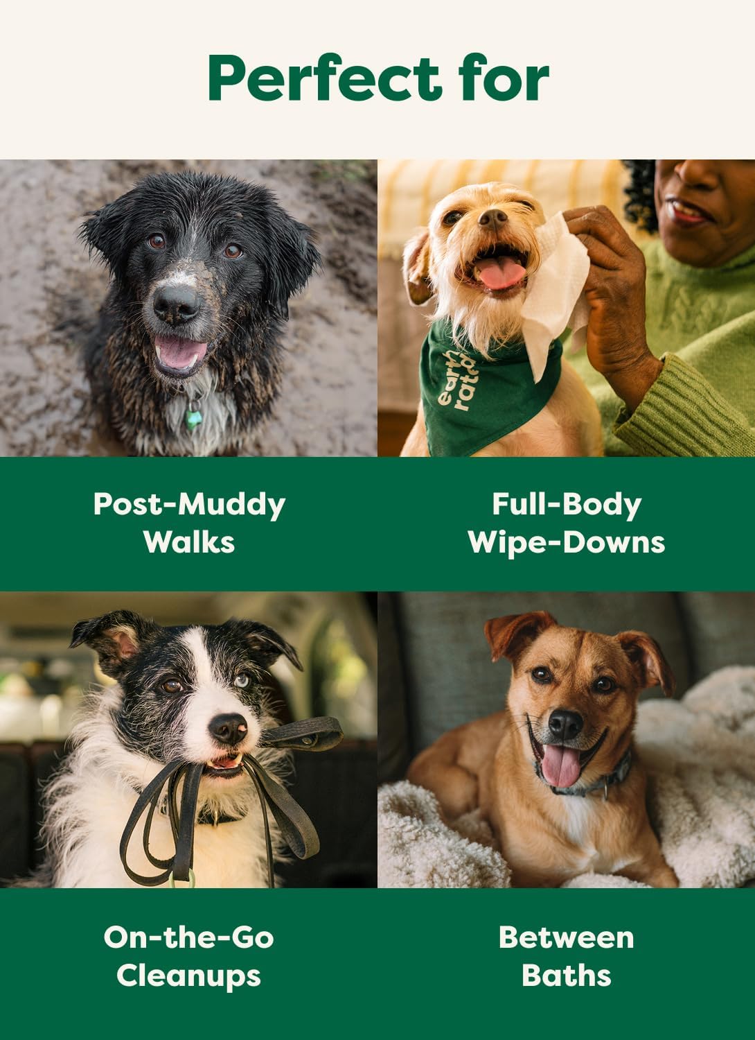 Earth Rated Pet Wipes for Dogs and Cats, Hypoallergenic