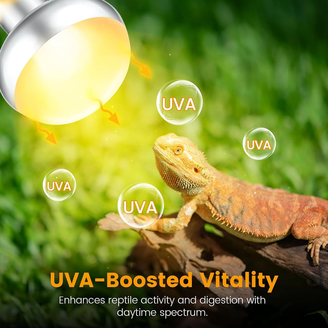 REPTITRIP Dual Reptile Light Fixture with 100W Daytime Heat Bulb & 100W Nighttime Ceramic Heat Emitter, 2 Independent Switches, Reptile Heat Lamp Combo Pack - No UVB