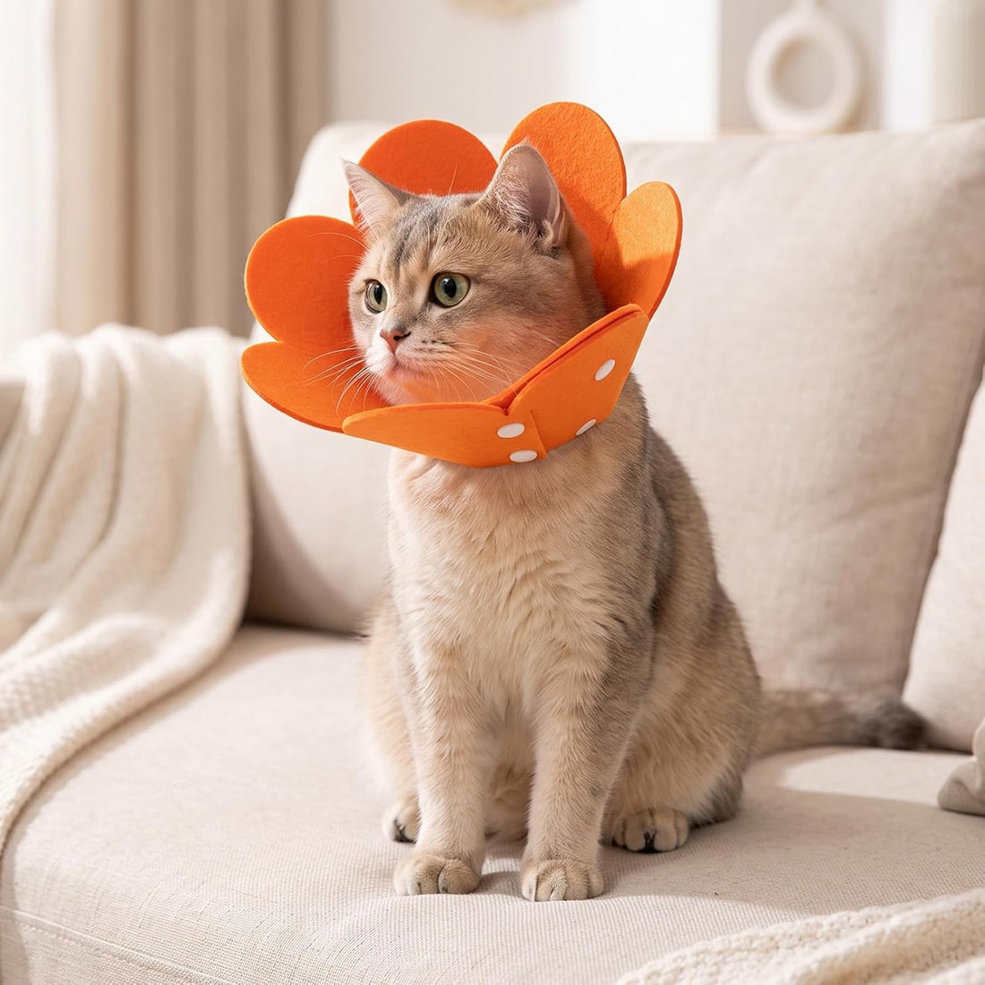 cobee 4 Pcs Felt Cat Recovery Collar, Cute Flower Felt Cat Cone Collar