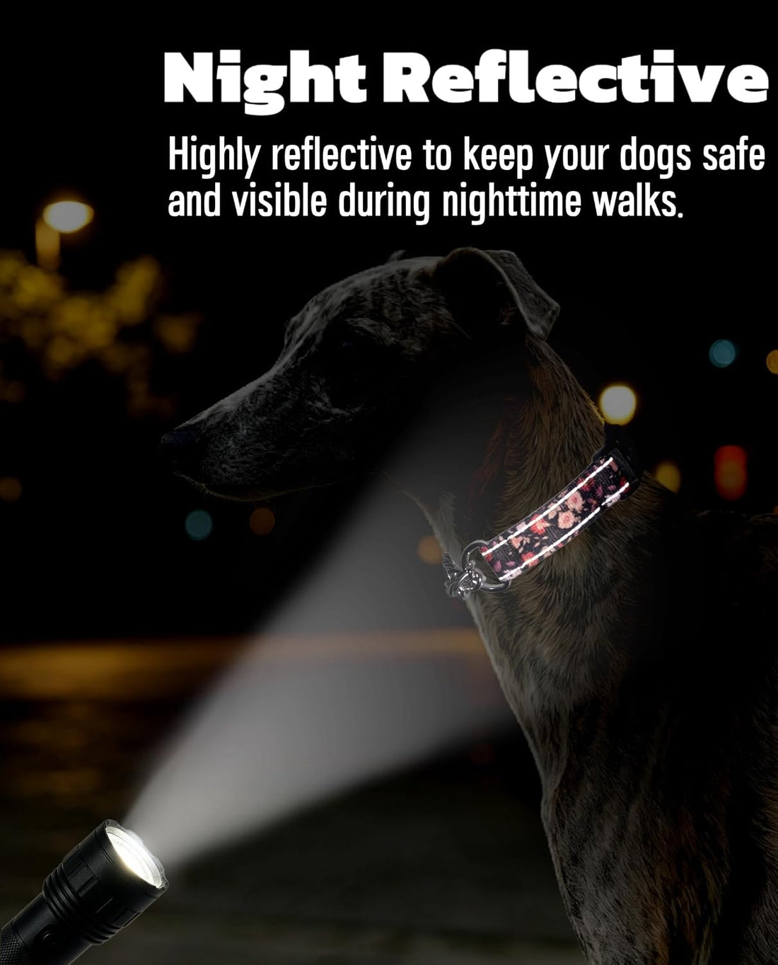 Martingale Dog Collar with Chain, Reflective Nylon Adjustable Collar