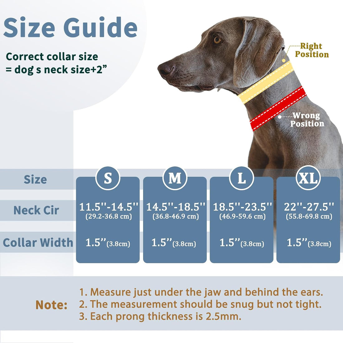 Mayerzon Martingale Dog Collar No Pull, Black, M