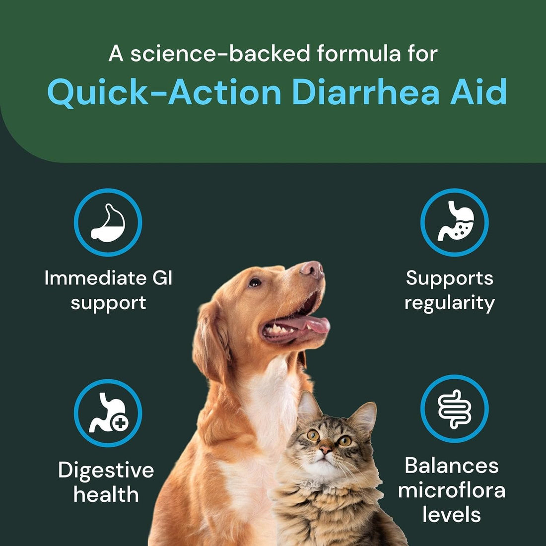 VetriScience Quick Action Diarrhea Aid Paste, Unflavored, 60 cc