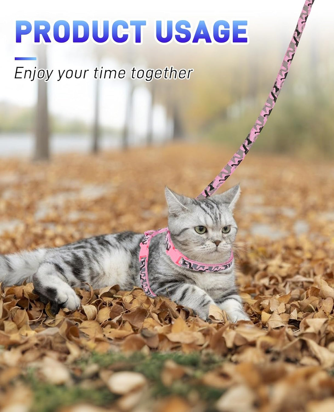 3 Pack Cat Leash and Harness Set