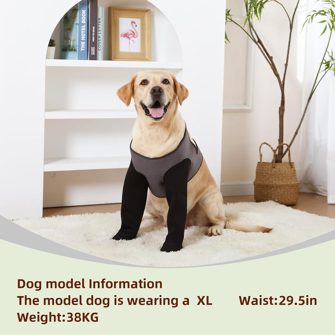 Dog Socks to Prevent Licking Paws ,Breathable Leg Sleeve to Stop