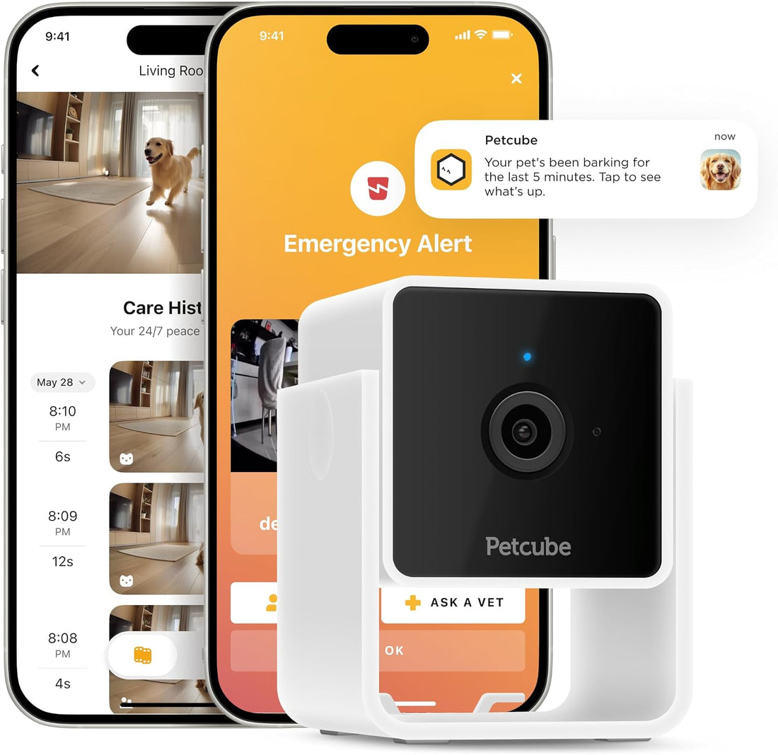 Petcube GPS Tracker for Dogs – Real-Time GPS Tracking & Escape Alerts