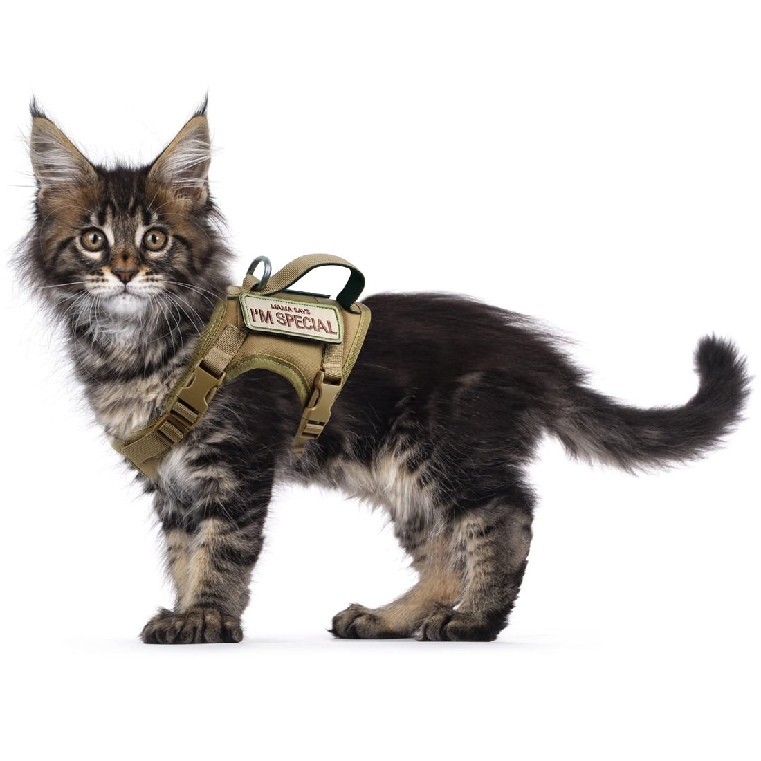 Tactical Cat Harness for Walking Escape Proof