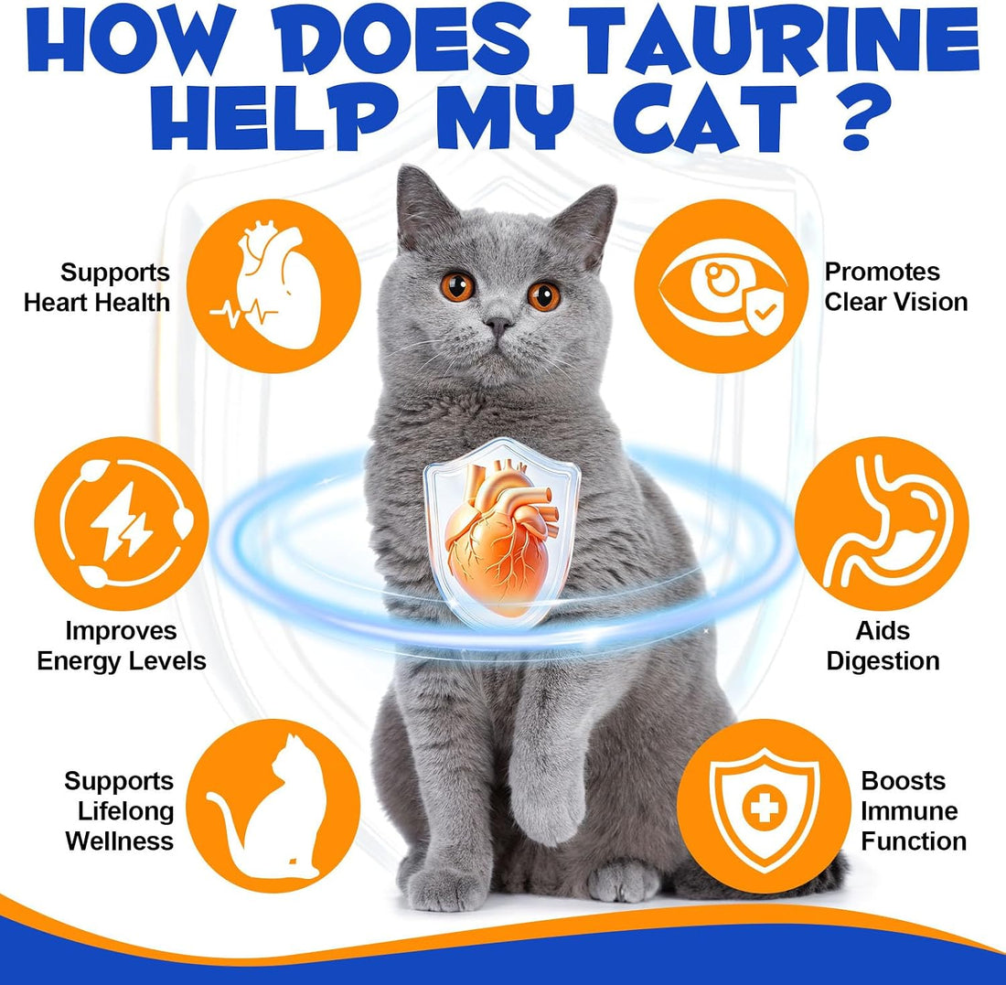Taurine for Cats – Pure Taurine Powder Supplement for Kittens & Adult