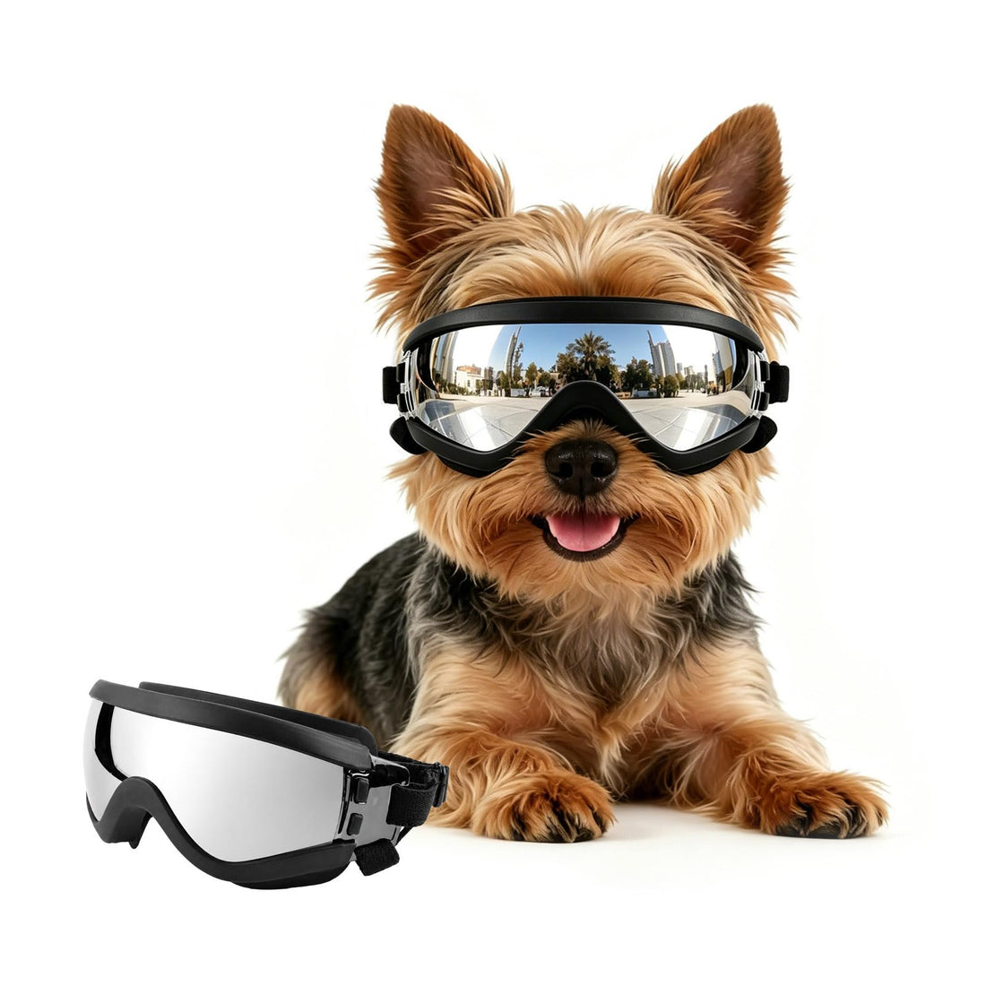 Billionchains Dog Goggles Small Breed with UV Protection Windproof