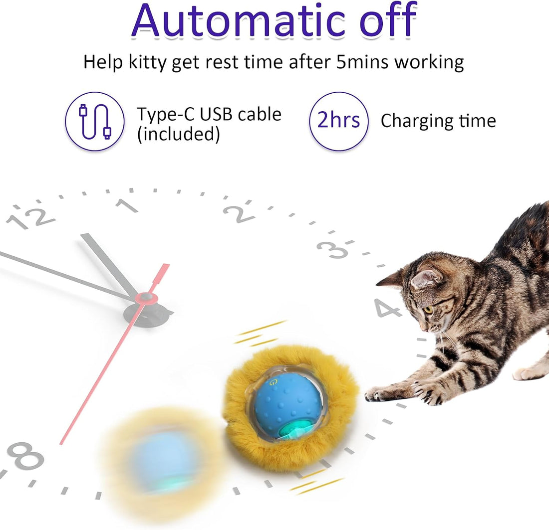 Giociv Interactive Cat Toys Ball Fast Rolling in Pouch