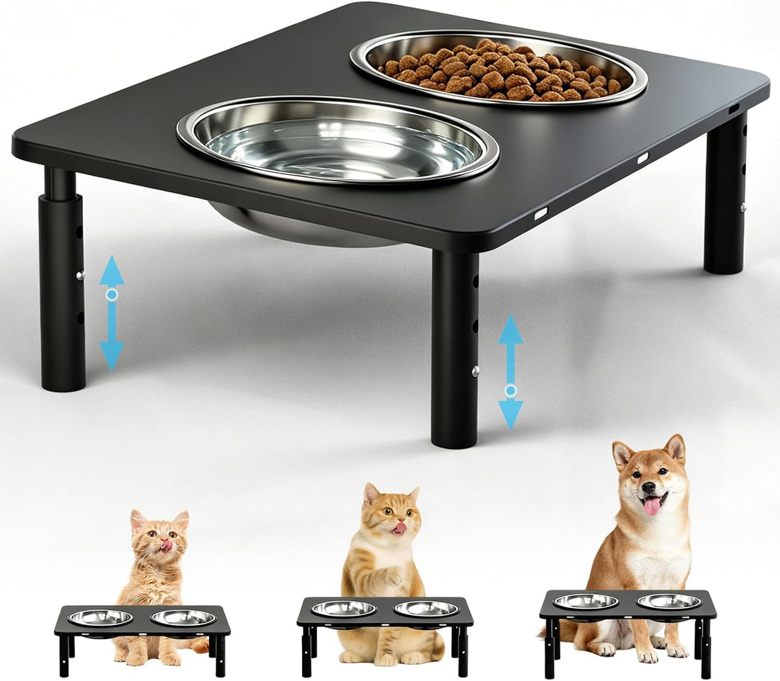 Adjustable Elevated Cat Bowls,6°/12° Tilted Cat Bowl Stand