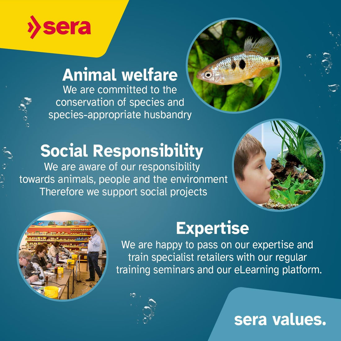 Sera Discus Color Gran 250ml (8.4 fl oz) | Premium Discus Fish Food