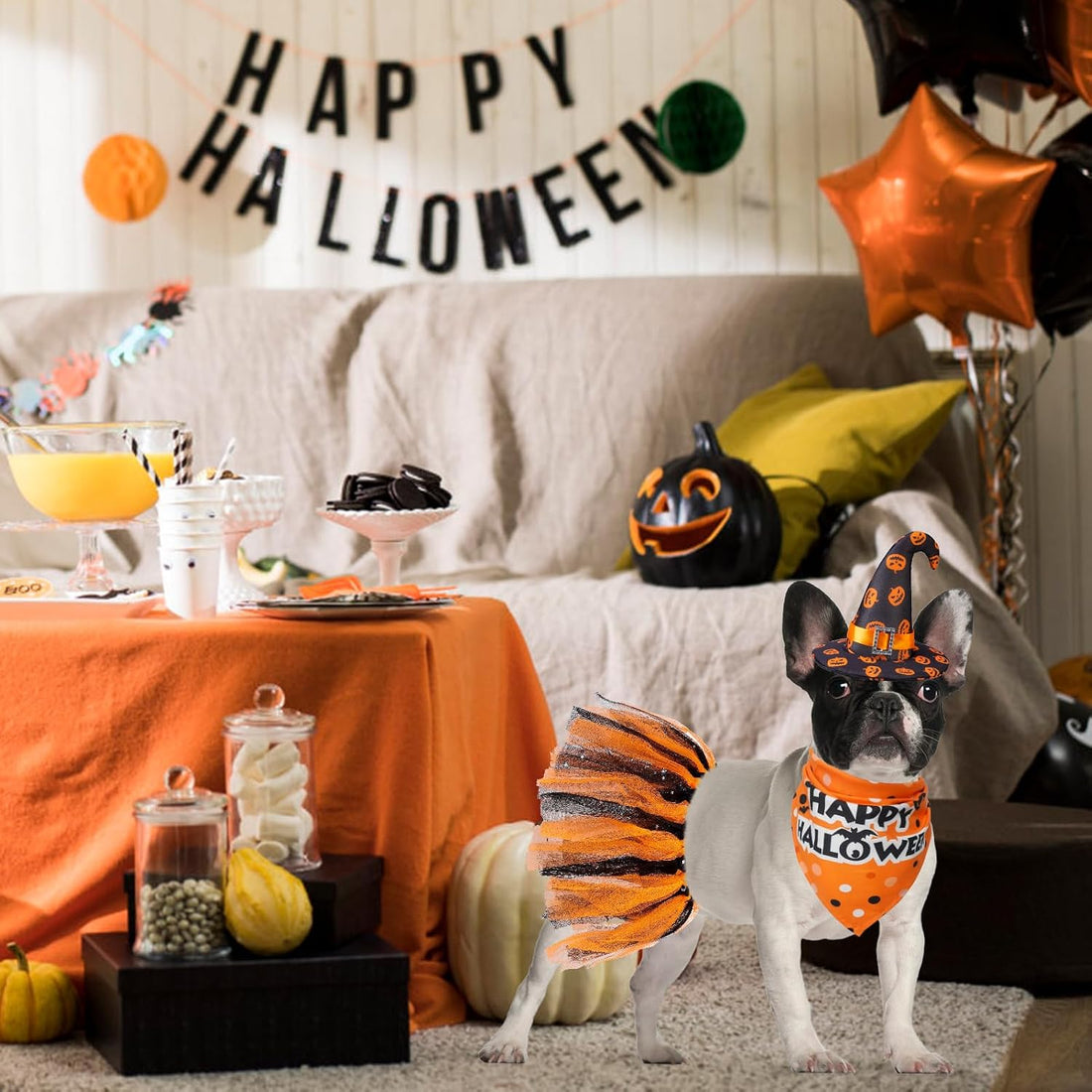 SCENEREAL Small Dog Halloween Costumes, Bandana Hat Dress Set