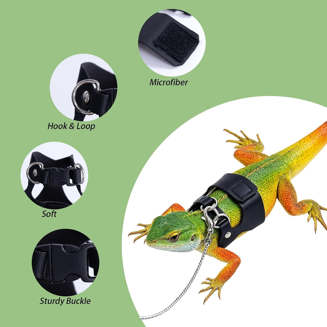 3Pack Bearded Dragon Leash and Harness Set