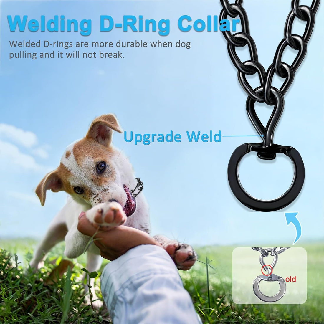 Prong Pinch Collar for Dogs,Dog Training Collar for Small Medium
