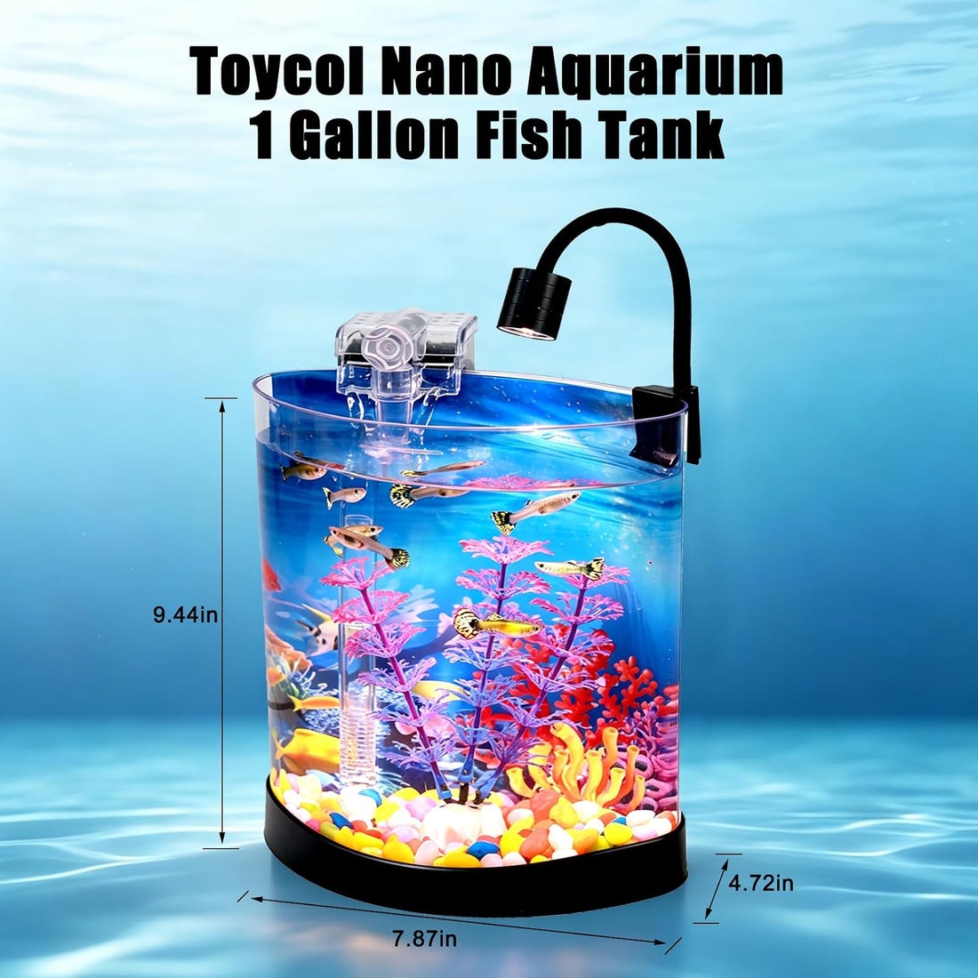 1 Gallon Fish Tank, Half Moon Shape, Mini Aquarium Starter Kit
